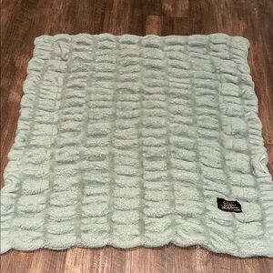 Minky Couture Hugs, Mist, Infant Size Sage‎ Green